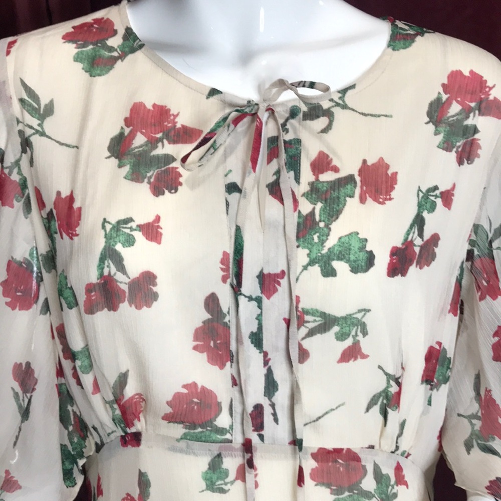 Relished Floral Roses Maxi Dress - Picture 2 of 3